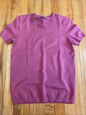 Loft Dusty Rose Short Sleeve Sweater
